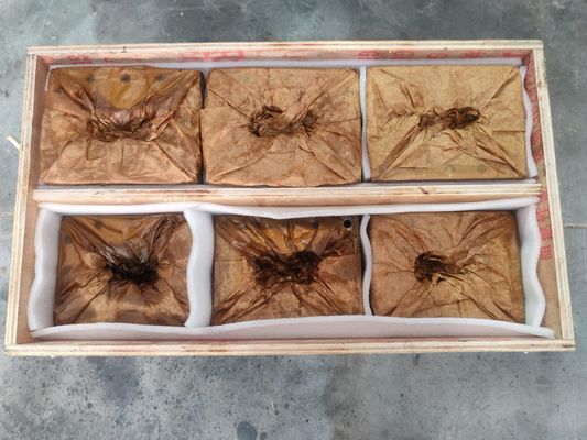 Rosca e Cilindro da Extrusora para Máquina de Reciclagem de Plástico