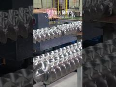 See Why Choose Alloy 6542 Convey Screw Element Extruder Elements For Twin Screw Extruder